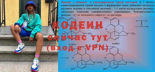 мяу мяу мука Белокуриха